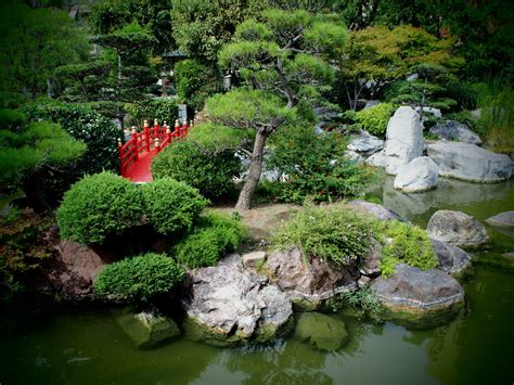  Jardim Japonês: Oaza Spokoju w Sercu Bustling Teresy