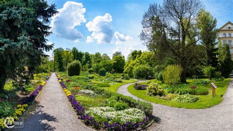  Ogród Botaniczny w Irkucku – Raj dla Miłośników Przyrody!