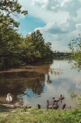 Rezerwat Przyrody Changling: Oaza Spokoju i Zabytków przyrody!