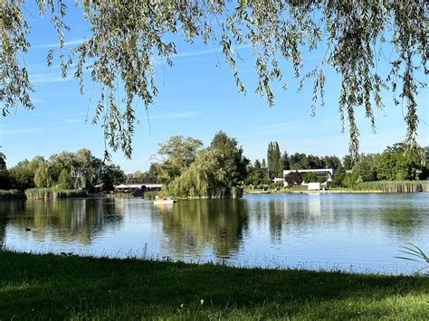  Delicje zieleni w Pałacu Guangxi! Oaza spokoju w sercu Nanningu!