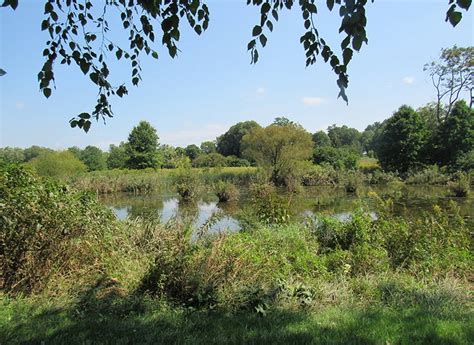 Morris Arboretum: A Serene Escape into Nature and History!